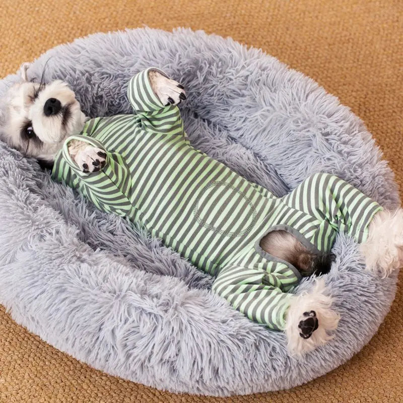 Small Dog Pajamas