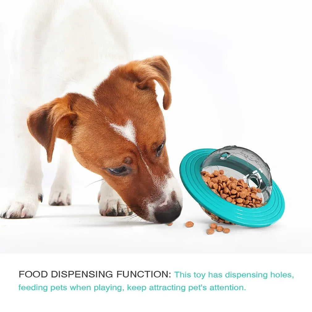 Flying Saucer Dog Game Flying Discs Toys
