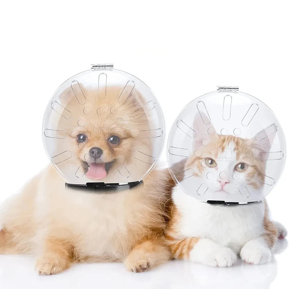 Cat Muzzle with Nail Clippers