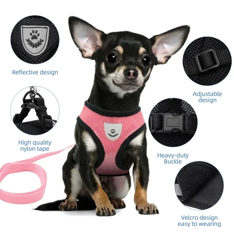 Summer Cat Dog Harness Lead Leash