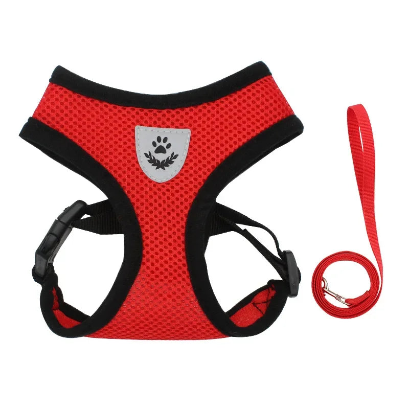 Summer Cat Dog Harness Lead Leash