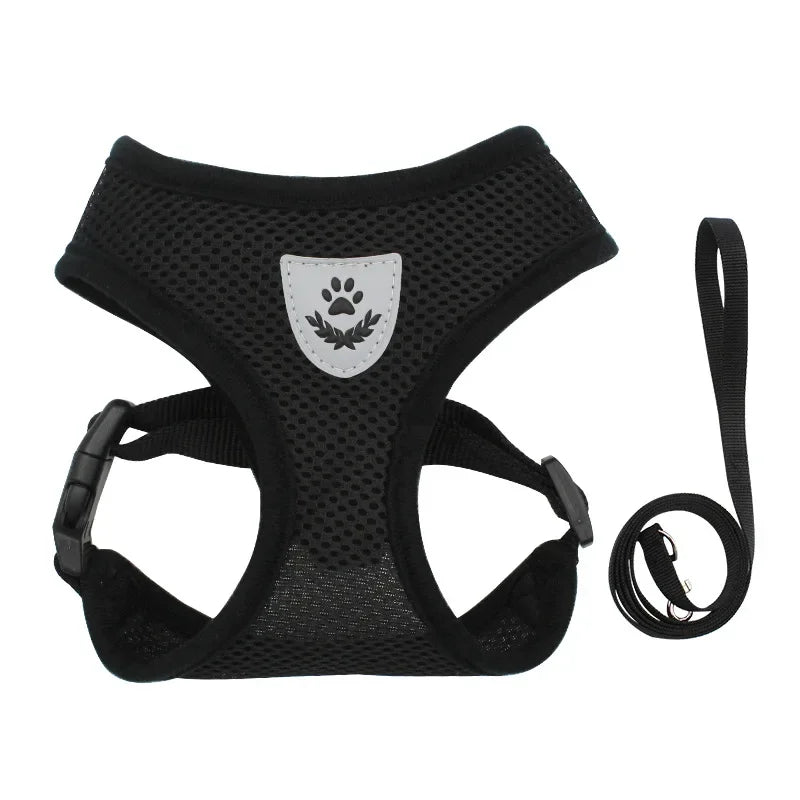 Summer Cat Dog Harness Lead Leash
