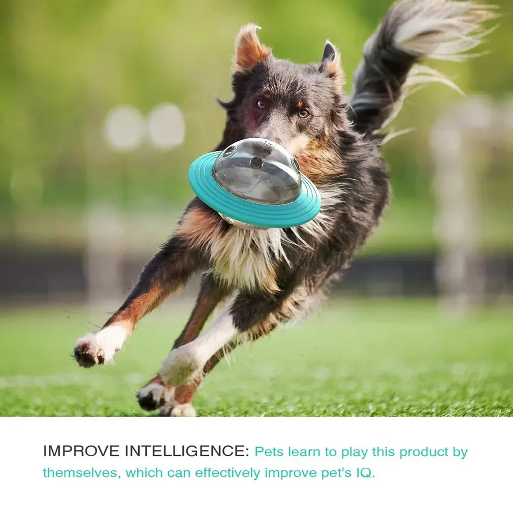 Flying Saucer Dog Game Flying Discs Toys