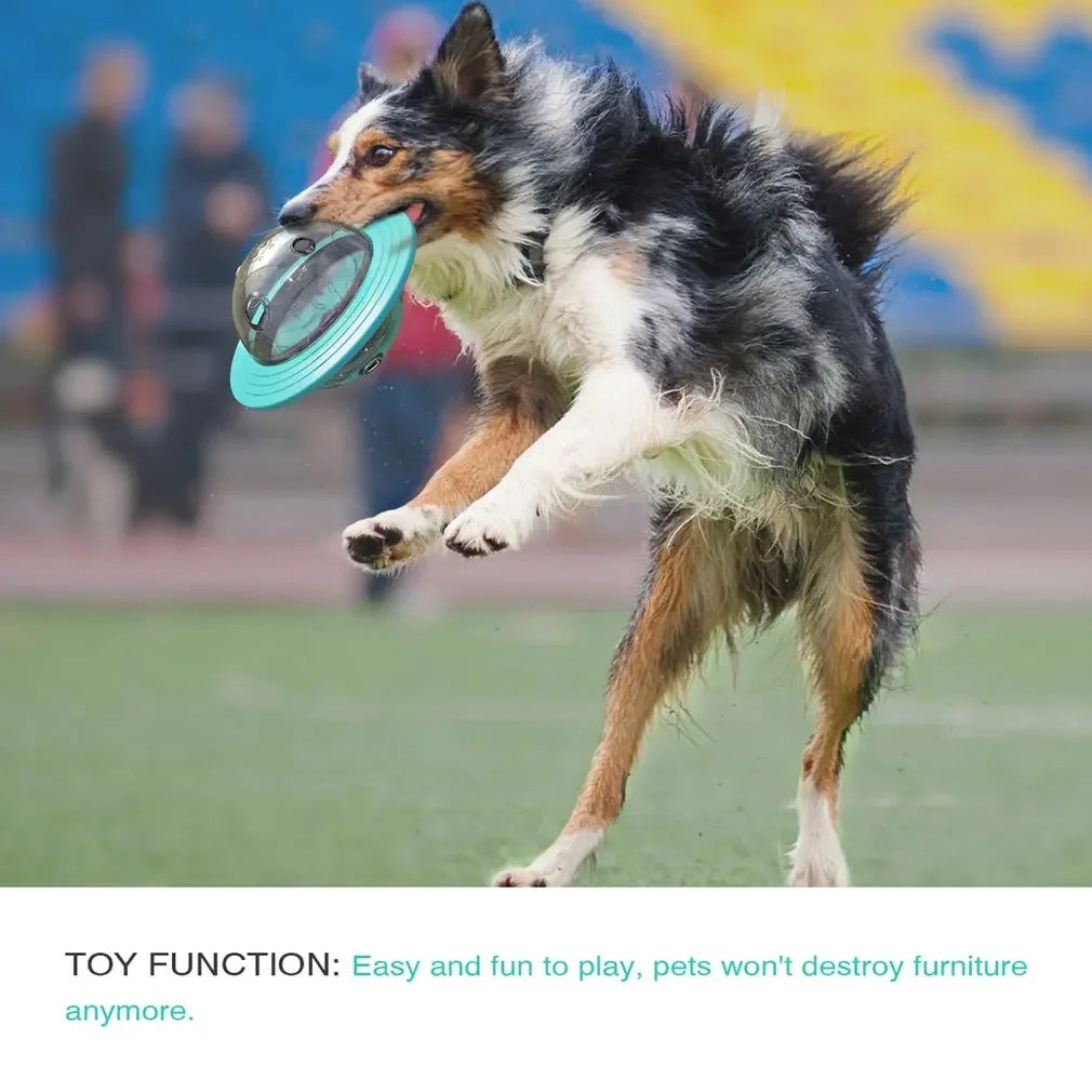 Flying Saucer Dog Game Flying Discs Toys