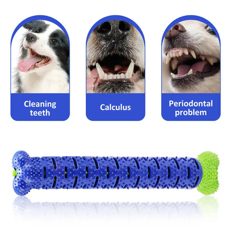 Toothbrush TPR Chew Bite Toys