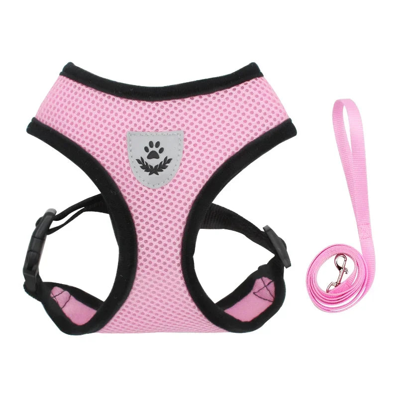 Summer Cat Dog Harness Lead Leash
