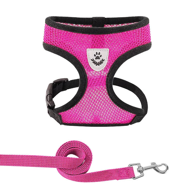 Summer Cat Dog Harness Lead Leash