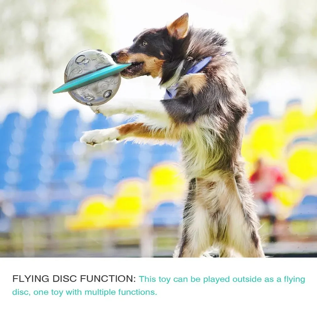 Flying Saucer Dog Game Flying Discs Toys