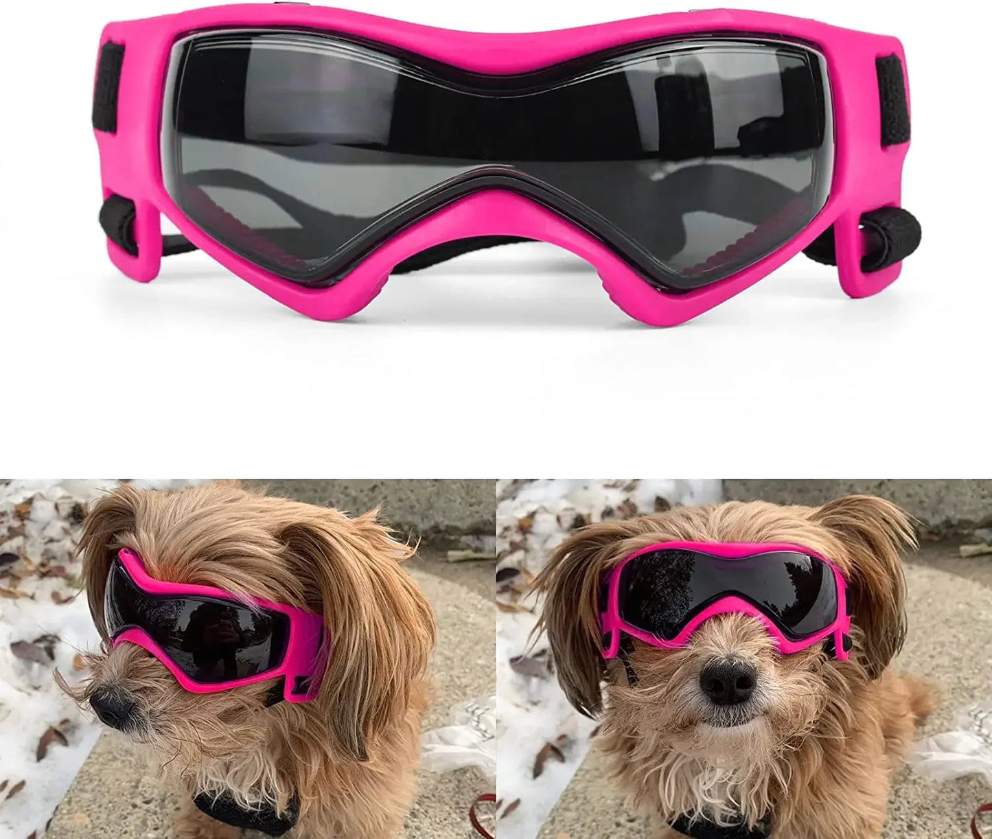 Small Breed Dog Goggles