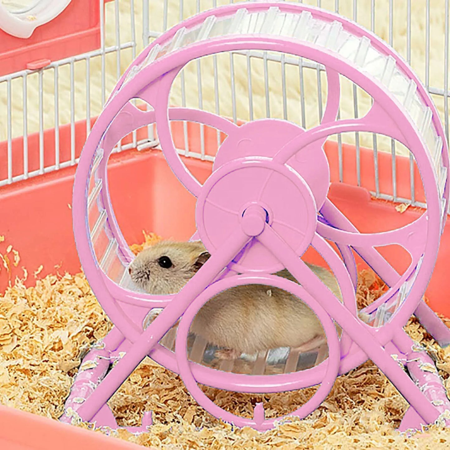 Exercise Wheels Training Indoor Sport Toy