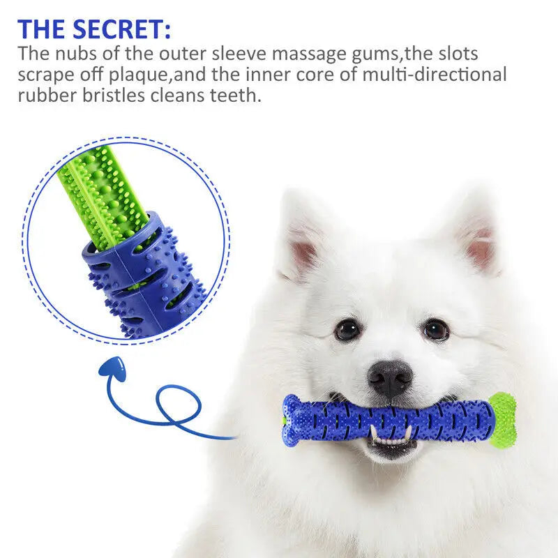 Toothbrush TPR Chew Bite Toys