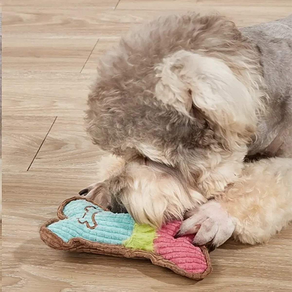 Dog Squeaky Toys