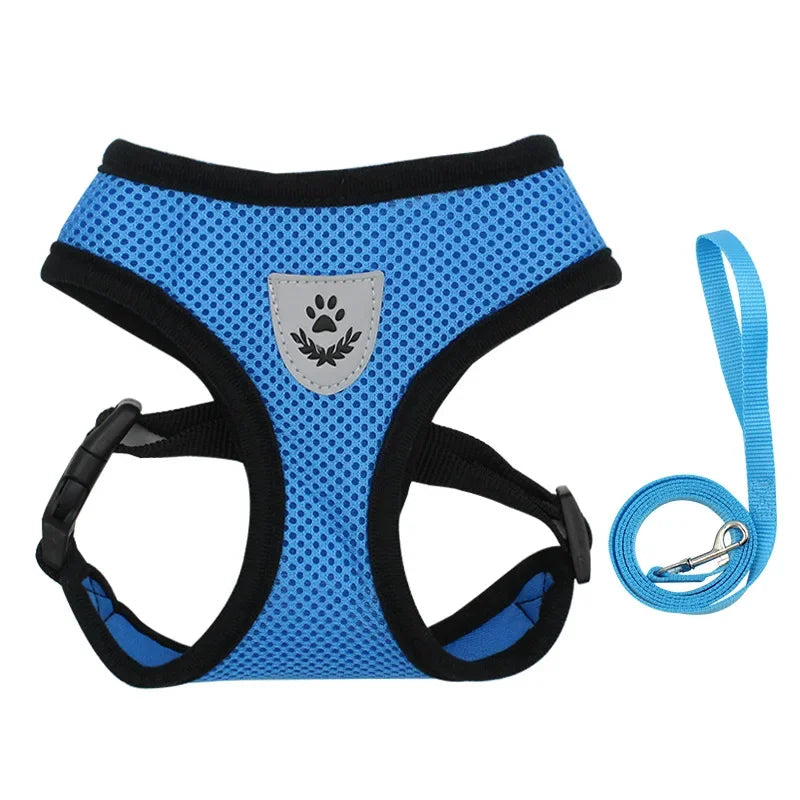 Summer Cat Dog Harness Lead Leash