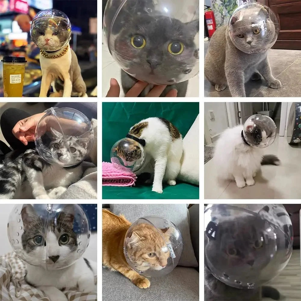 Cat Muzzle with Nail Clippers