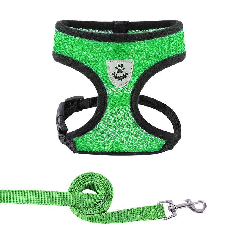 Summer Cat Dog Harness Lead Leash