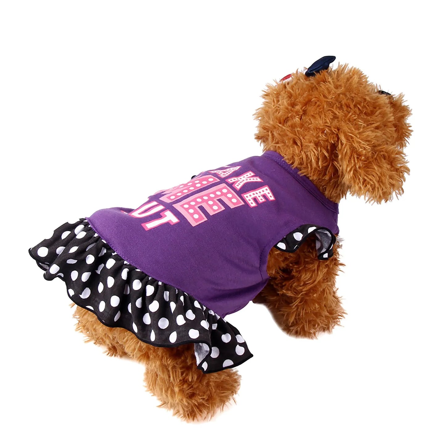 Summer Cute Pet Apparel