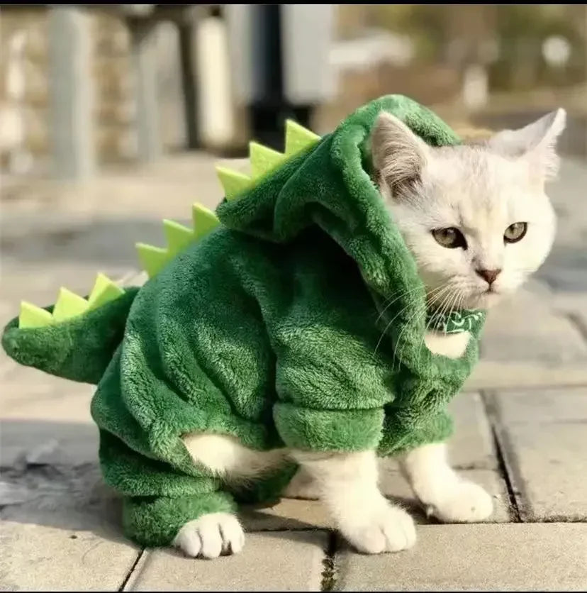 Funny Dinosaur Cosplay Costume
