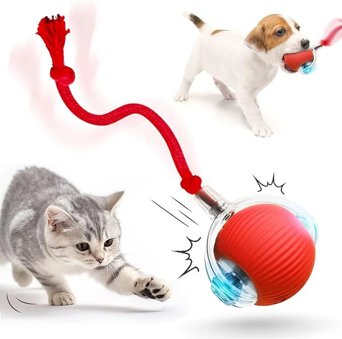 Bouncetug Play Ball – Interactive Pet Toy