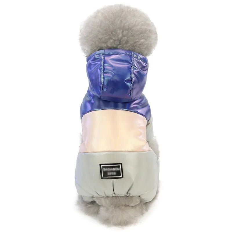 Winter Clothes For Dogs