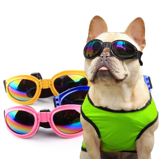 6 Color Foldable Pet Glasses