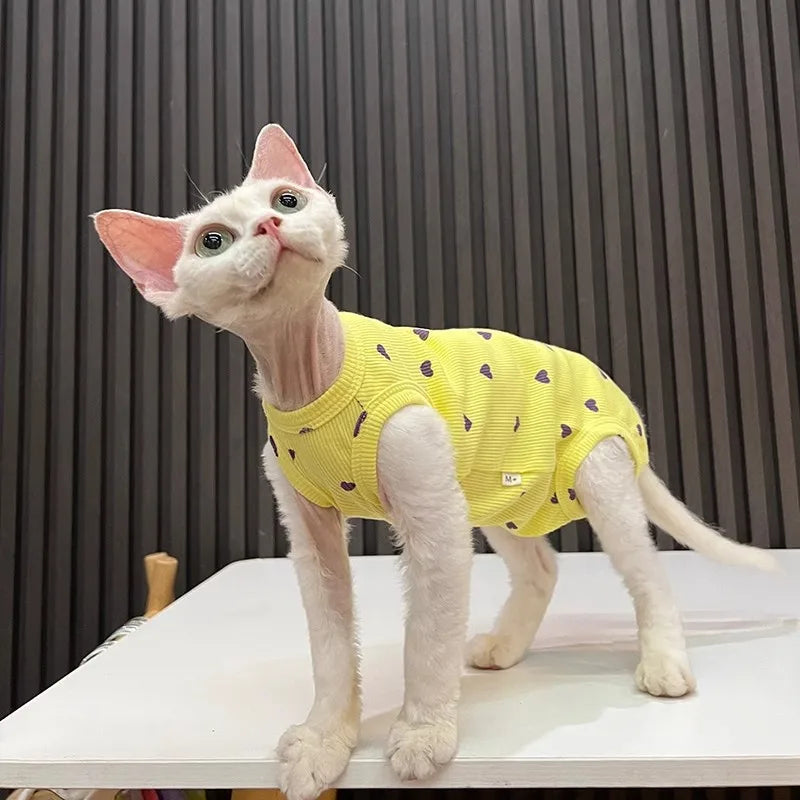 Sphinx Hairless Cat Devon Clothes