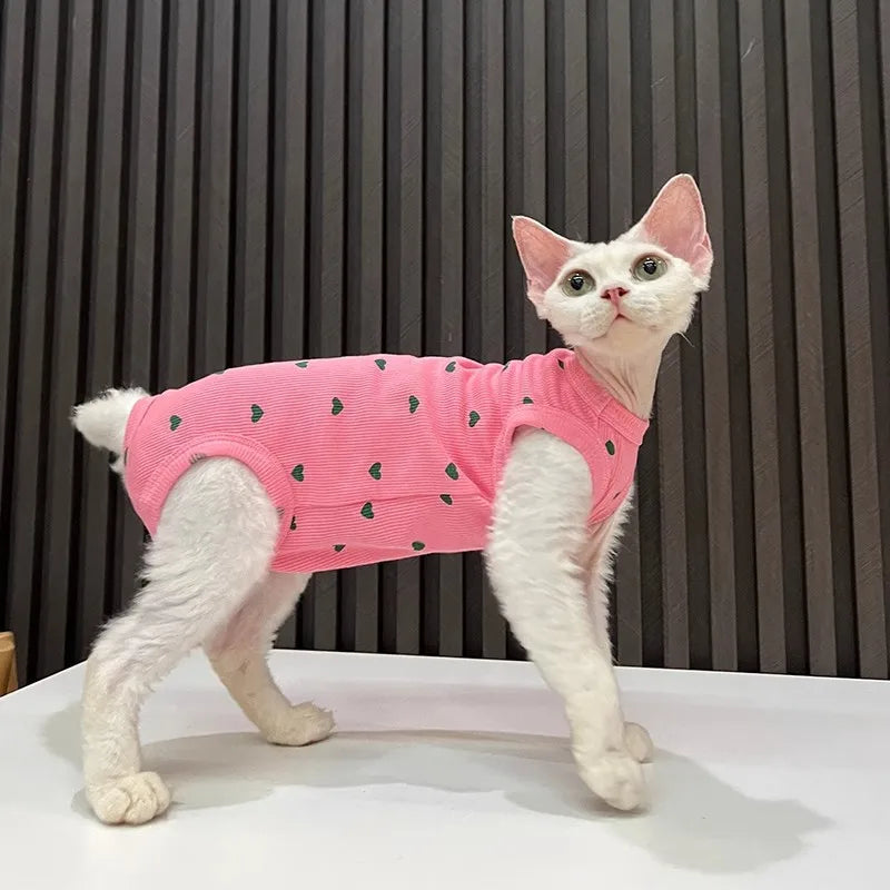 Sphinx Hairless Cat Devon Clothes