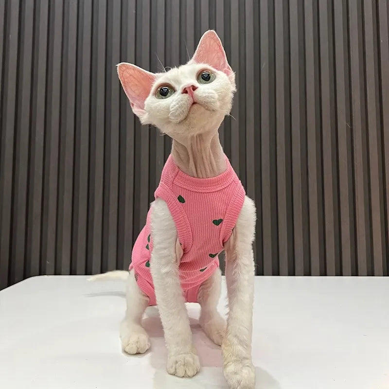 Sphinx Hairless Cat Devon Clothes