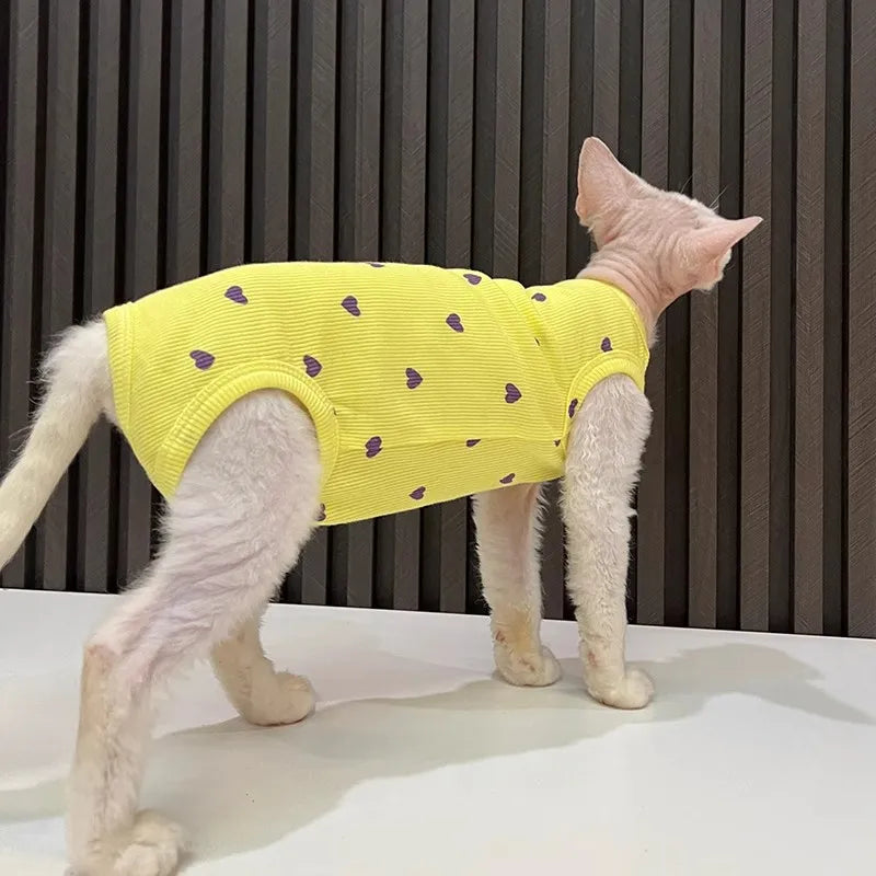 Sphinx Hairless Cat Devon Clothes