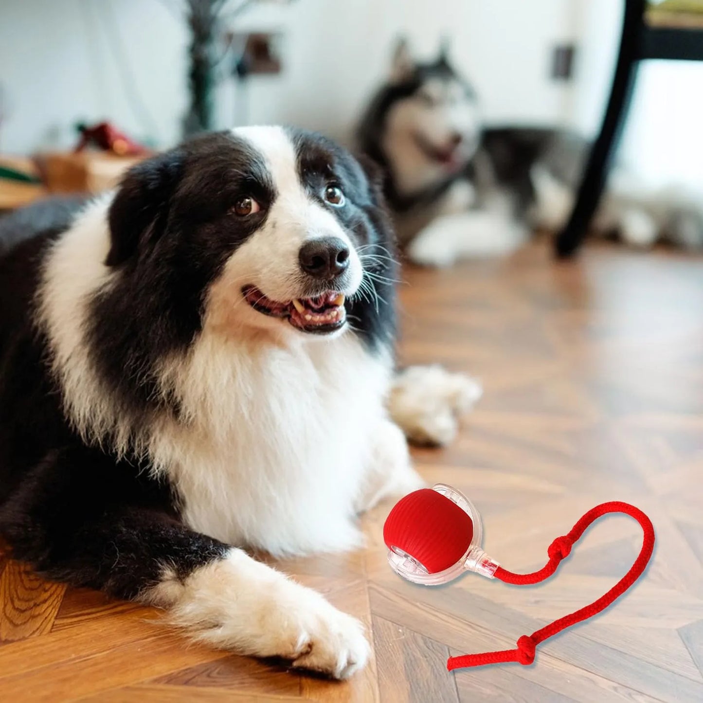 Bouncetug Play Ball – Interactive Pet Toy