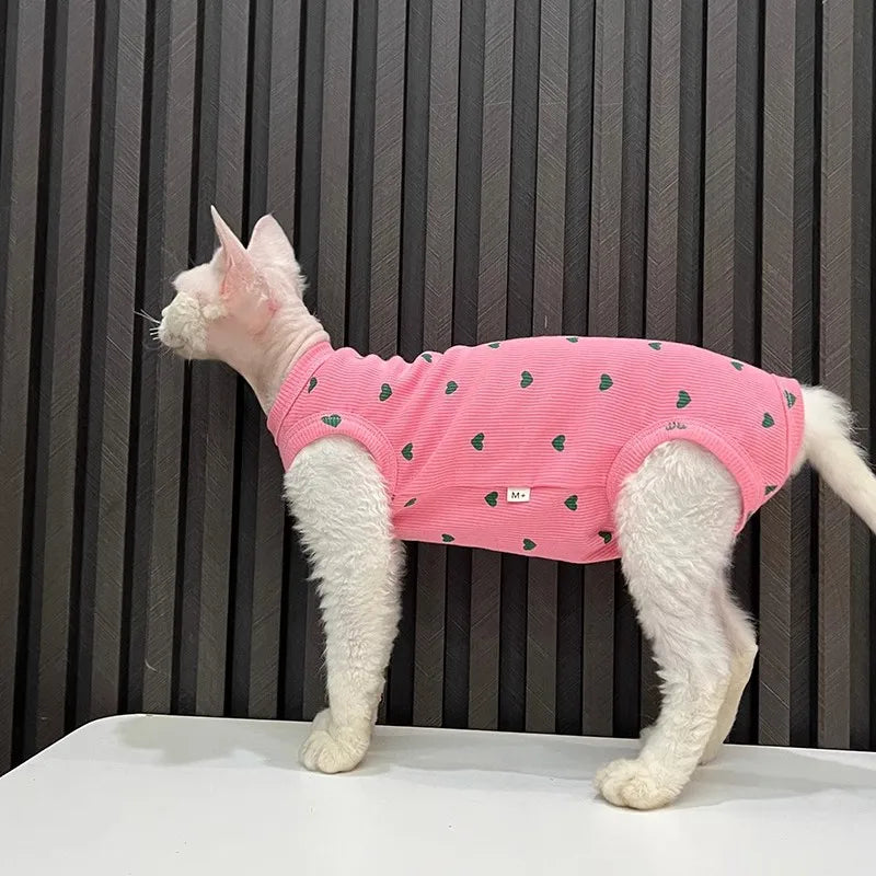 Sphinx Hairless Cat Devon Clothes