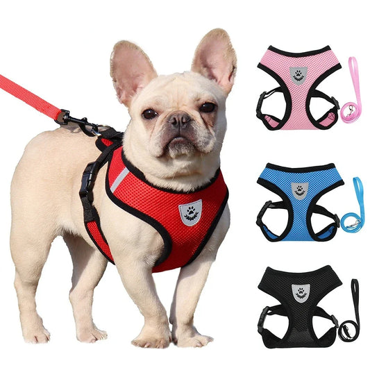 Summer Cat Dog Harness Lead Leash