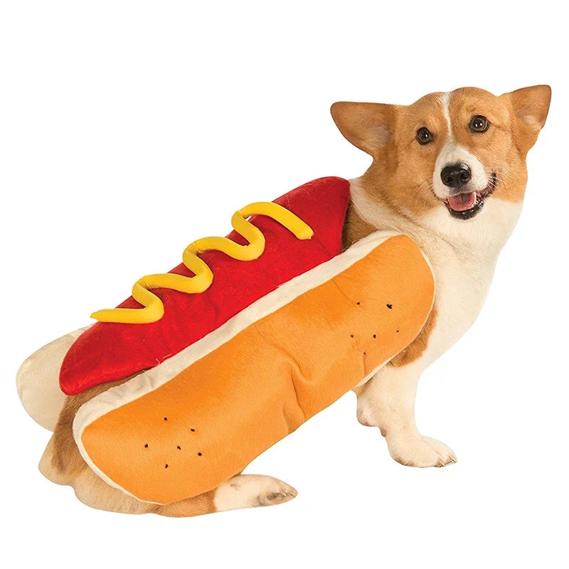 Funny Halloween Dog Costumes